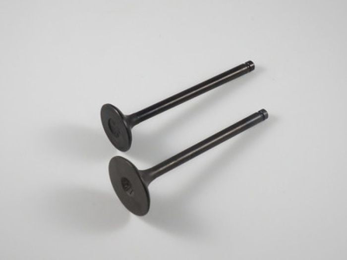 Engine Valve Set Trx200/D/Sx - 07-015 | Shindy