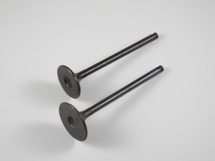 Engine Valve Set Atc250es/sx/trx250(85-87) - 07-019 | Shindy