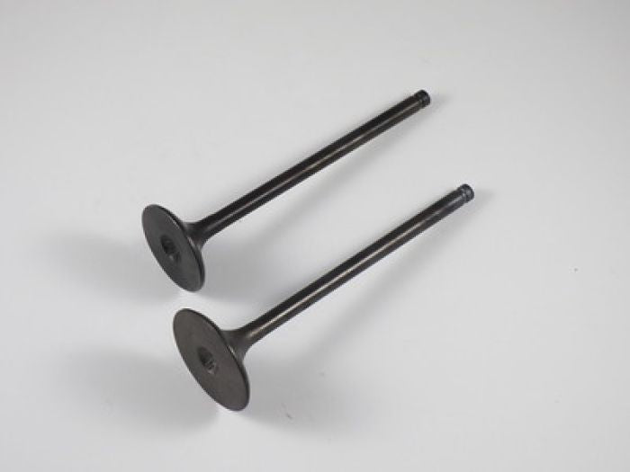 Engine Valve Set Trx400ex /Trx500 Rubicon - 07-025 | Shindy
