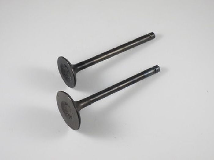 Engine Valve Set Klf300/4X4 (85-04) - 07-101 | Shindy