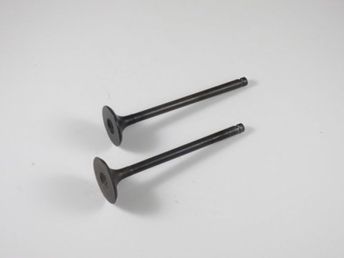 Engine Valve Set Lt-F160 (91-01) - 07-206 | Shindy