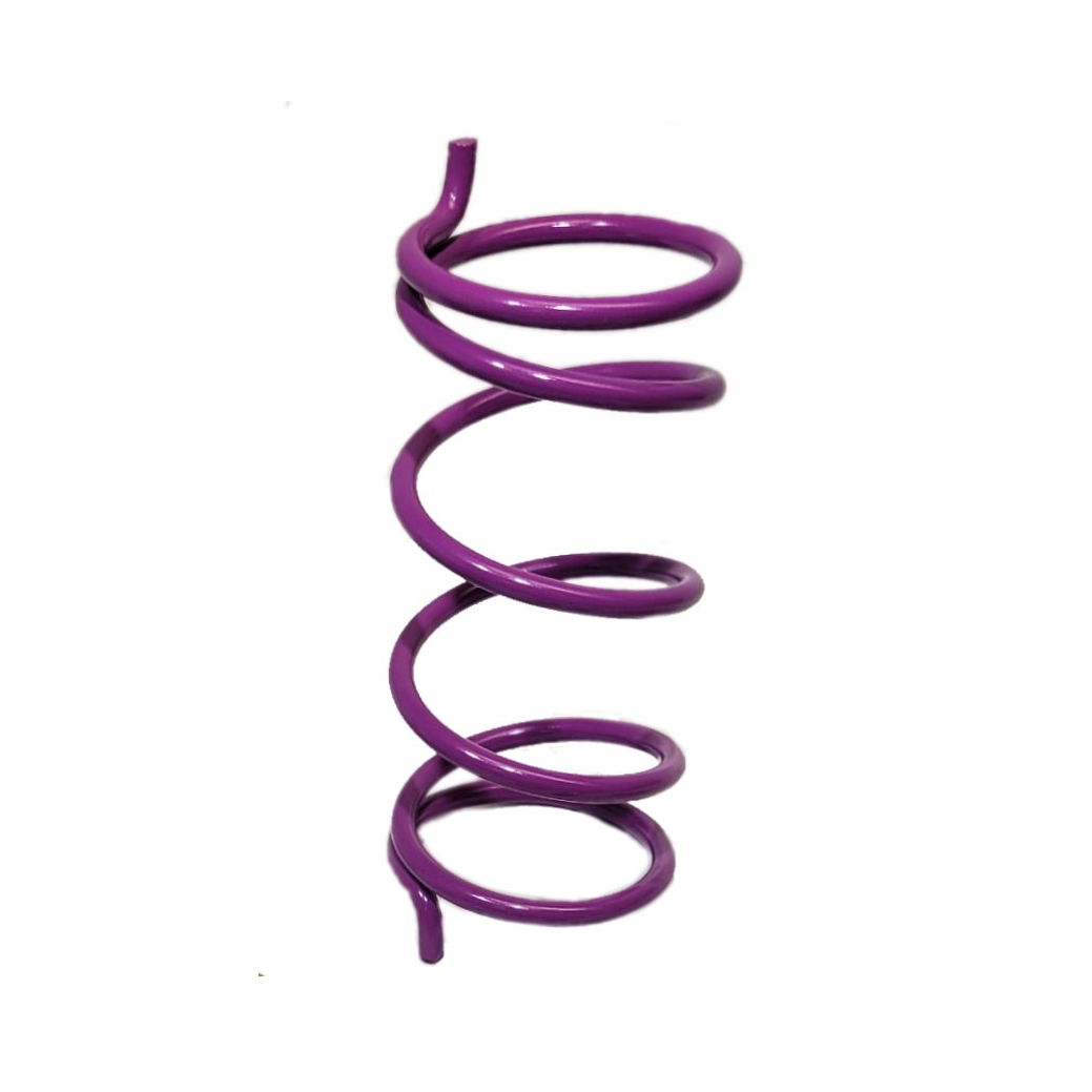 Evolution Powersports Can Am Maverick X3 Secondary Clutch Springs - Evolution Powersports