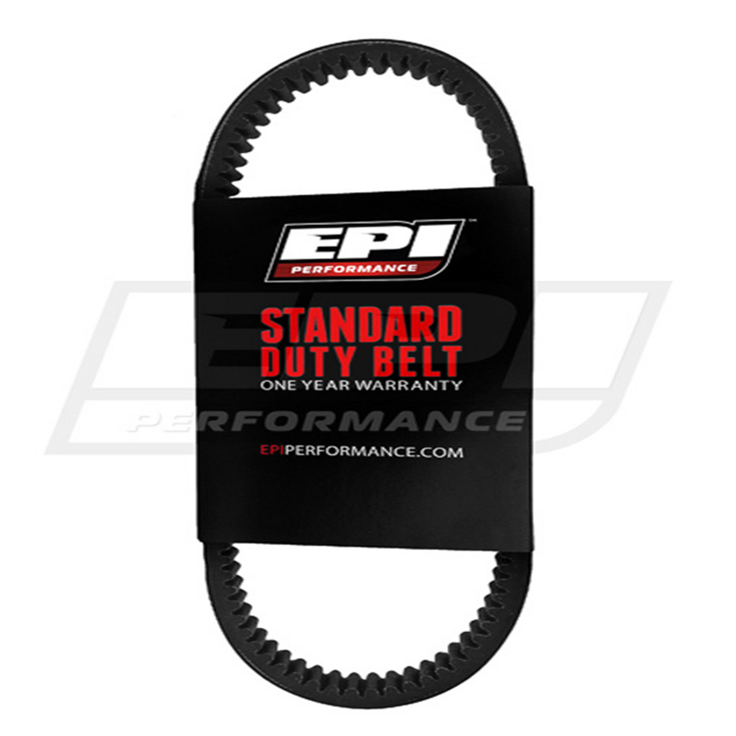 EPI Standard Belt - WE262005