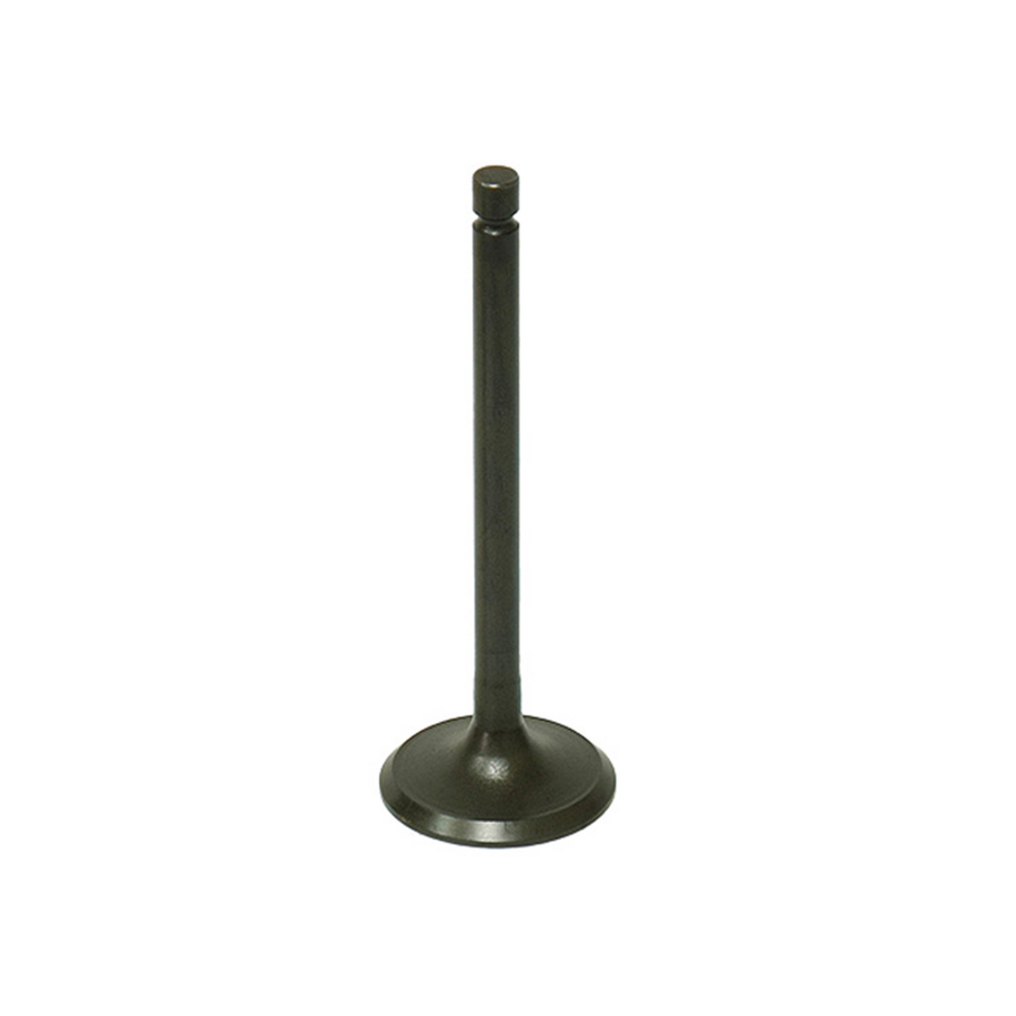 Bronco Valve - AU-09191E