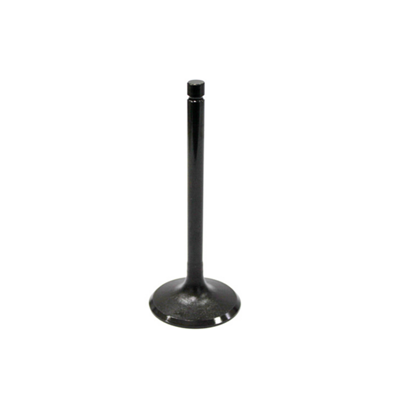 Bronco ATV Intake Valve - AU-09026I