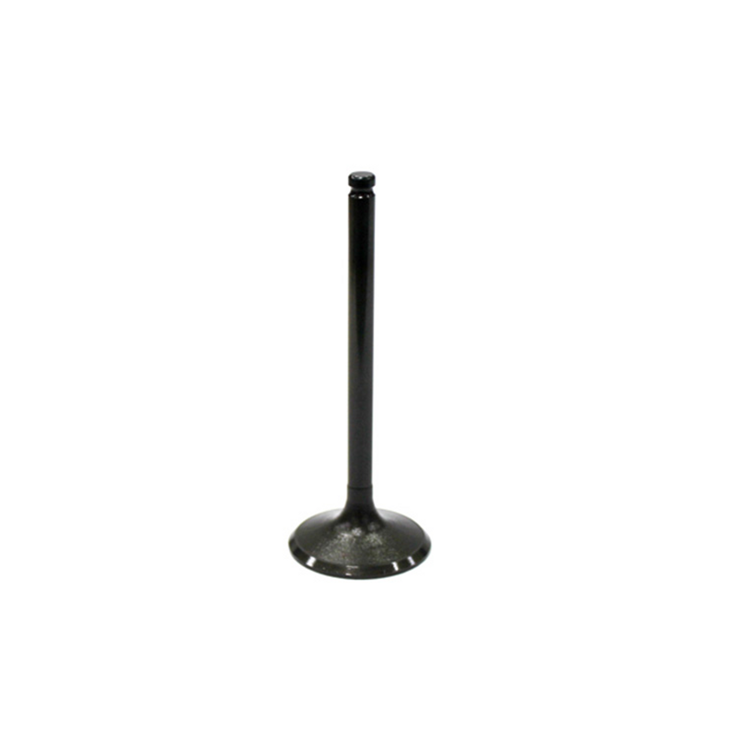 Bronco Intake Valve 31mmx5.5mm X81.8 - AU-09004I