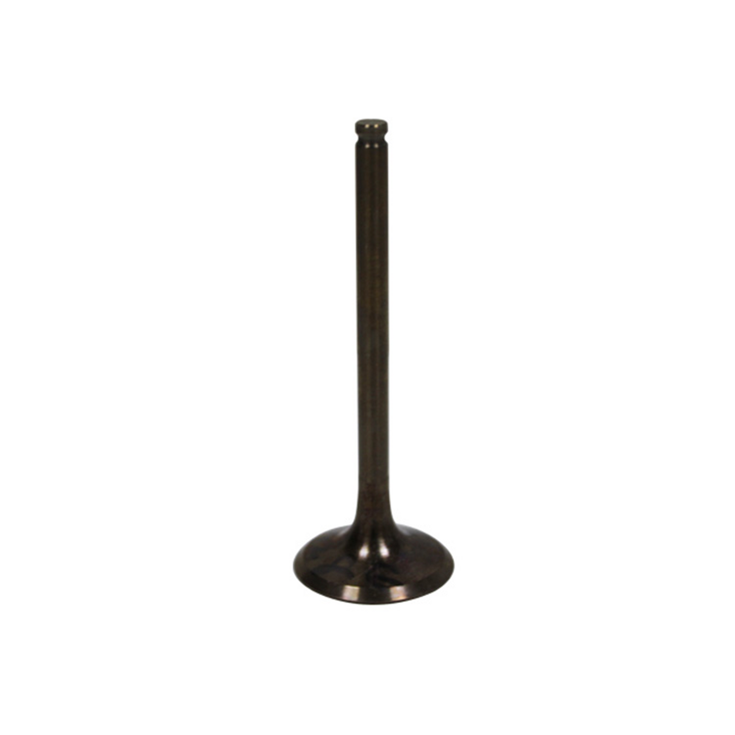 Bronco Exhaust Valve - AU-09028E