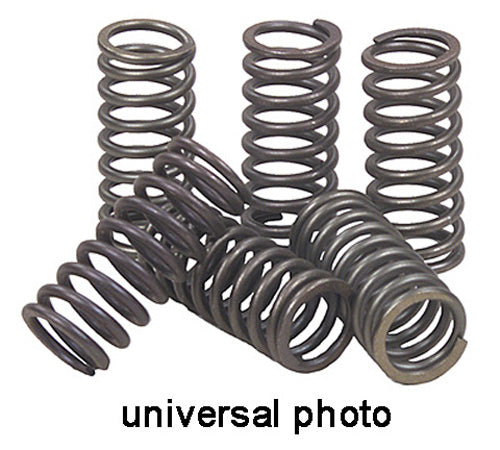 EBC Clutch Spring Kit - CSK170