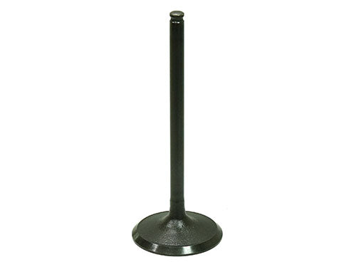 Bronco Intake Valve - AU-09204I