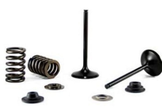 Bronco Intake Valve - AU-09210I