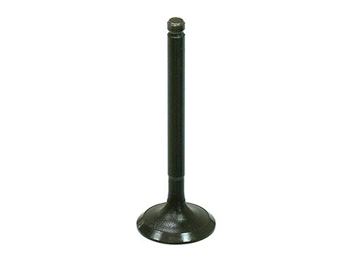Bronco Intake Valve - AU-09212I