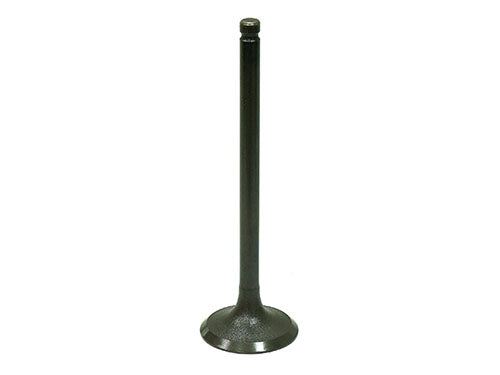 Bronco Intake Valve - AU-09216I