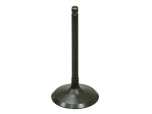 Bronco Intake Valve - AU-09219I