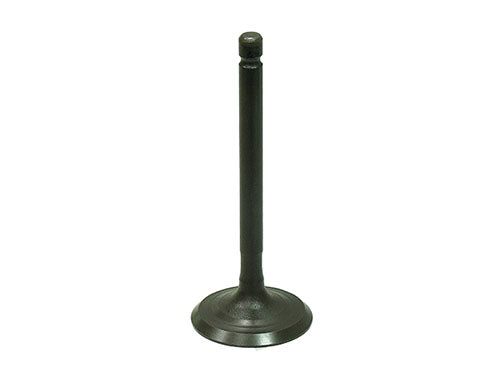 Bronco Intake Valve - AU-09217I