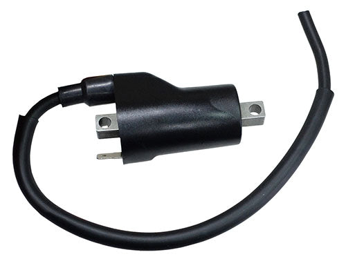 Bronco Ignition Coil - AT-01678