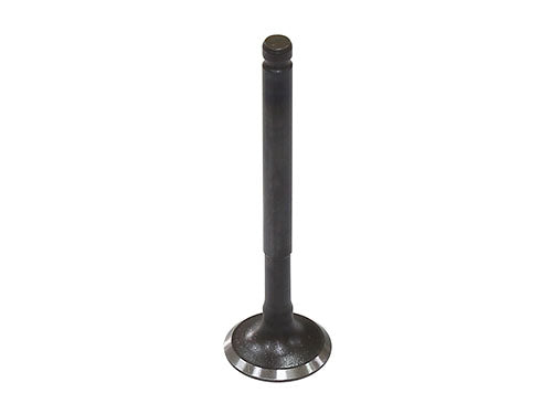 Bronco Intake Valve - AU-09221I