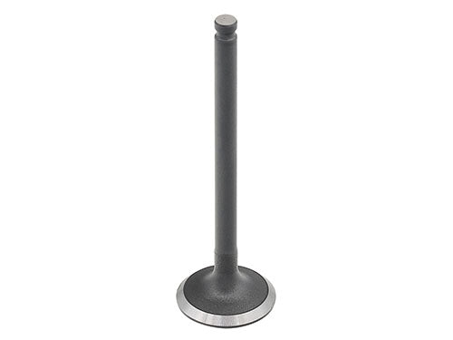 Bronco Intake Valve - AU-09230I
