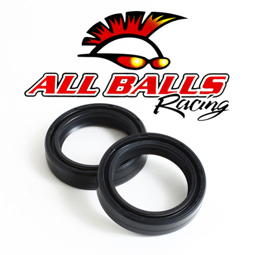 Fork Seal Kit - 55-111
