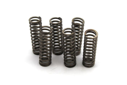 EBC Clutch Springs - CSK123