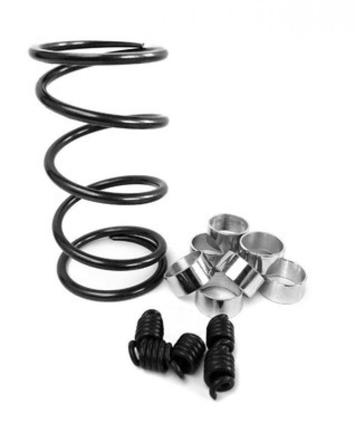 EPI Clutch Kit - WE391017