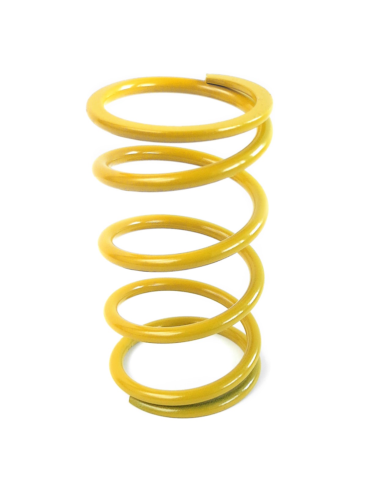 EPI Erlandson Clutch Spring CAPS1 | UTV ATV Performance