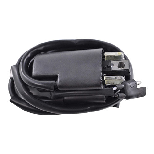 External Ignition Coil for Arctic Cat Jag / Formula 1976-2020