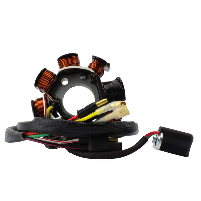 100W Stator 1999-2004