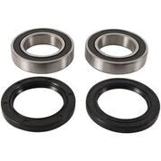 Pivot Works Wheel Bearing Kit — MPN PWRWK-Y10-000