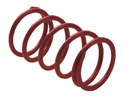Erlandson Clutch Spring ,maroon - DRS22 | EPI