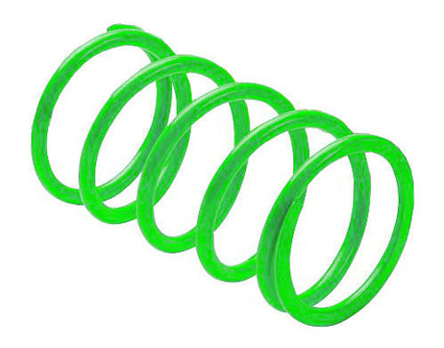 Erlandson Clutch Spring ,limegreen - KSS8 | EPI