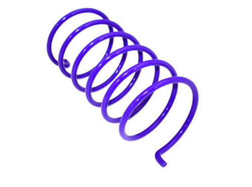 Erlandson Clutch Spring ,purple - PEBS14 | EPI