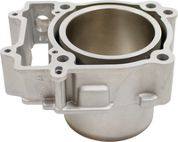 Cylinder Works 15-19 ACE 570/15-19 ACE 570 HD/14-21 Ranger 570 4x4 Crew EPS Standard Bore Cylinder