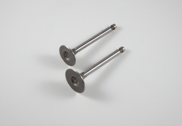 Engine Valve Set Atc/Trx70 (78-87) - 07-001 | Shindy