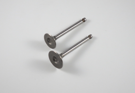 Engine Valve Set Atc/Trx70 (78-87) - 07-001 | Shindy