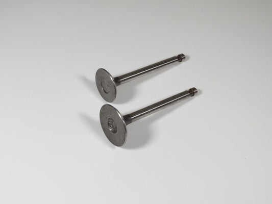 Engine Valve Set Atc90/110 (72-83) - 07-002 | Shindy