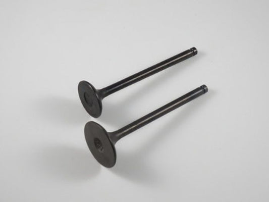 Engine Valve Set Trx200/D/Sx - 07-015 | Shindy