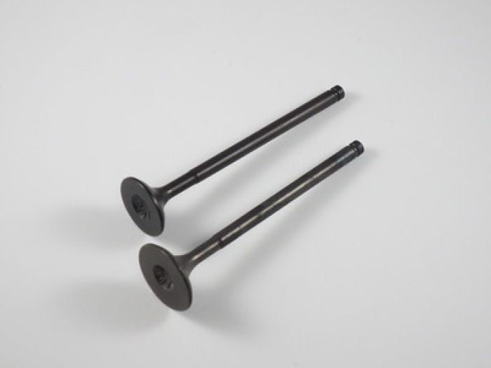 Engine Valve Set Trx300ex (93-08) - 07-016 | Shindy