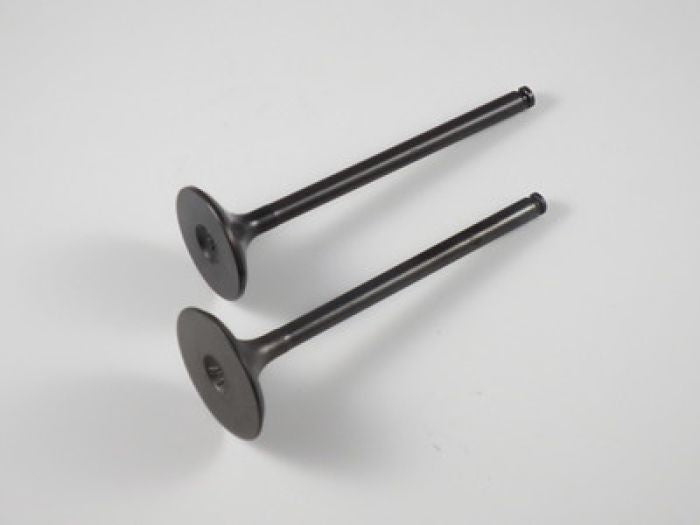Engine Valve Set Trx300/Fw (88-00) - 07-020 | Shindy