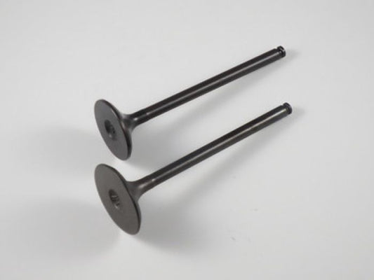 Engine Valve Set Trx300/Fw (88-00) - 07-020 | Shindy
