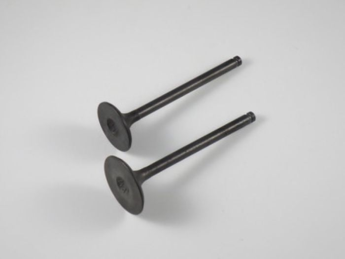 Engine Valve Set Trx250 (97-01) - 07-021 | Shindy