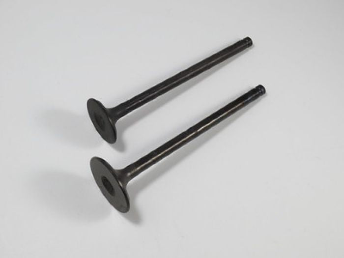 Engine Valve Set Atc125m(86-87) /trx125(87-88) - 07-022 | Shindy