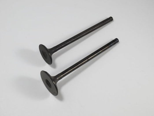 Engine Valve Set Atc125m(86-87) /trx125(87-88) - 07-022 | Shindy