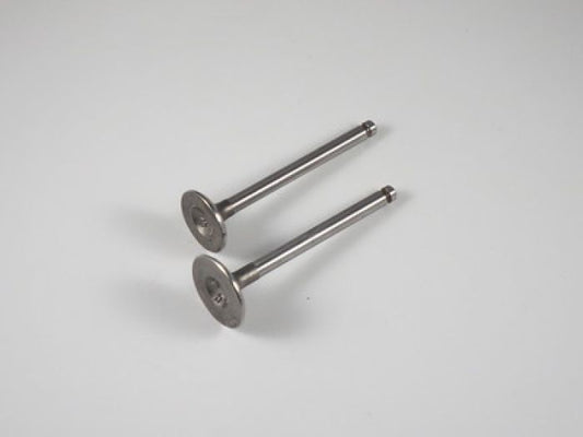 Engine Valve Set Trx90/Ex (93-08) - 07-023 | Shindy