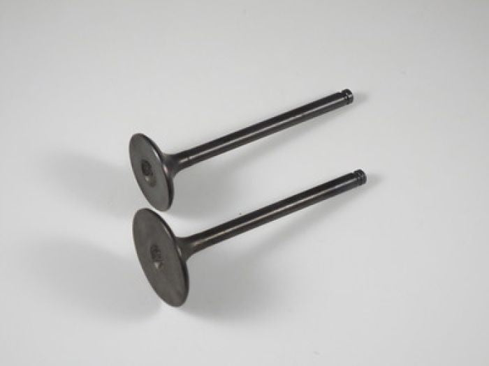 Engine Valve Set Trx400fw (95-03) - 07-024 | Shindy