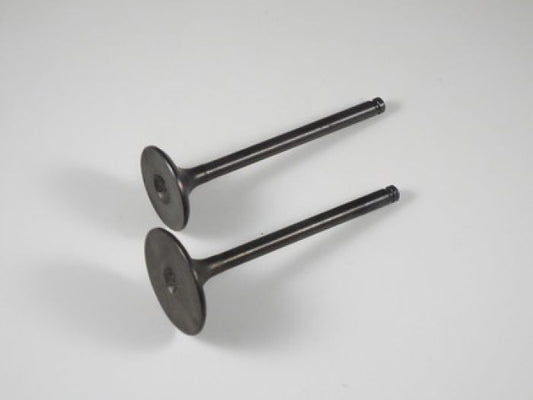 Engine Valve Set Trx400fw (95-03) - 07-024 | Shindy