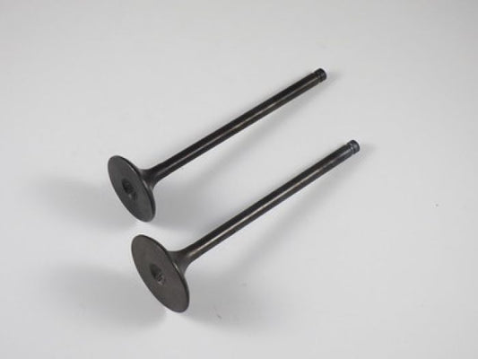 Engine Valve Set Trx400ex /Trx500 Rubicon - 07-025 | Shindy