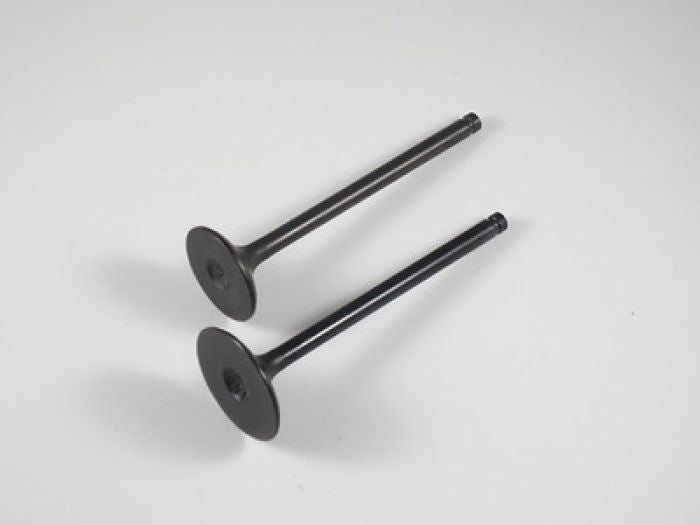 Engine Valve Set Trx250ex (01-08) - 07-026 | Shindy