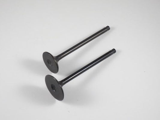 Engine Valve Set Trx250ex (01-08) - 07-026 | Shindy