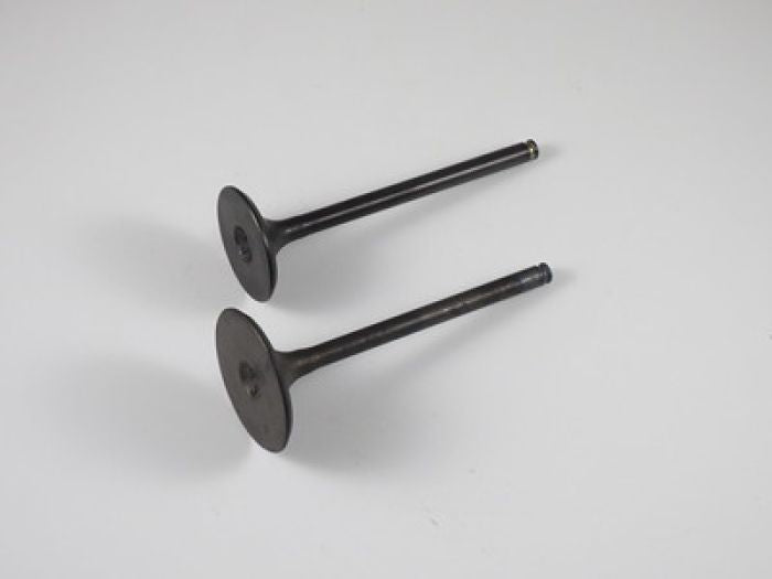 Engine Valve Set Trx450r (04-05) - 07-028 | Shindy