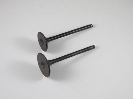 Engine Valve Set Trx450r (04-05) - 07-028 | Shindy